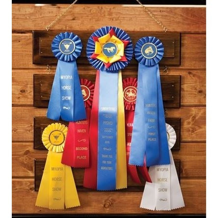 Wall Multi-Ribbon Rack – Wellesley Equestrian